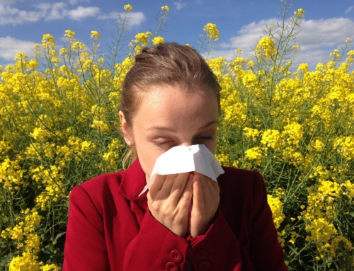 It’s Allergy Season!