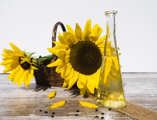 Are Seed Oils Bad for You?